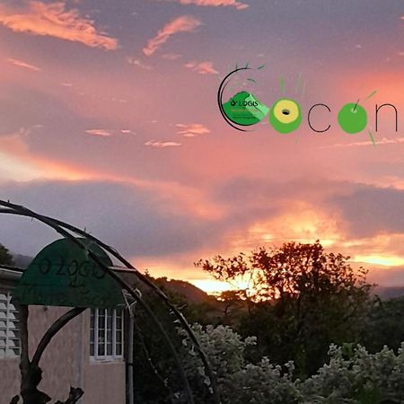 O Logis Du Morne Jacob "Coco", Le Morne-Rouge Martinique Appartement Buitenkant foto