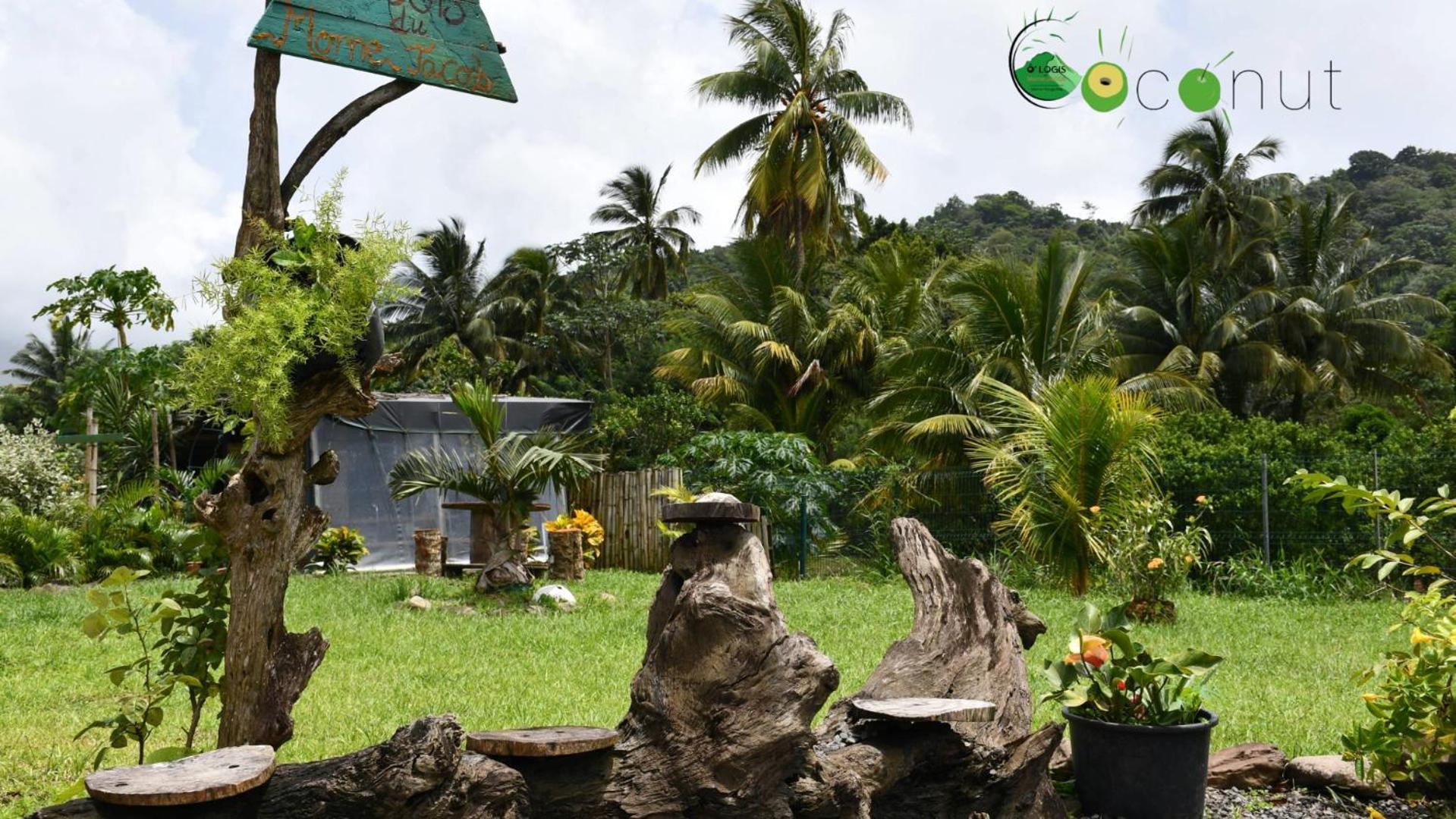 O Logis Du Morne Jacob "Coco", Le Morne-Rouge Martinique Appartement Buitenkant foto